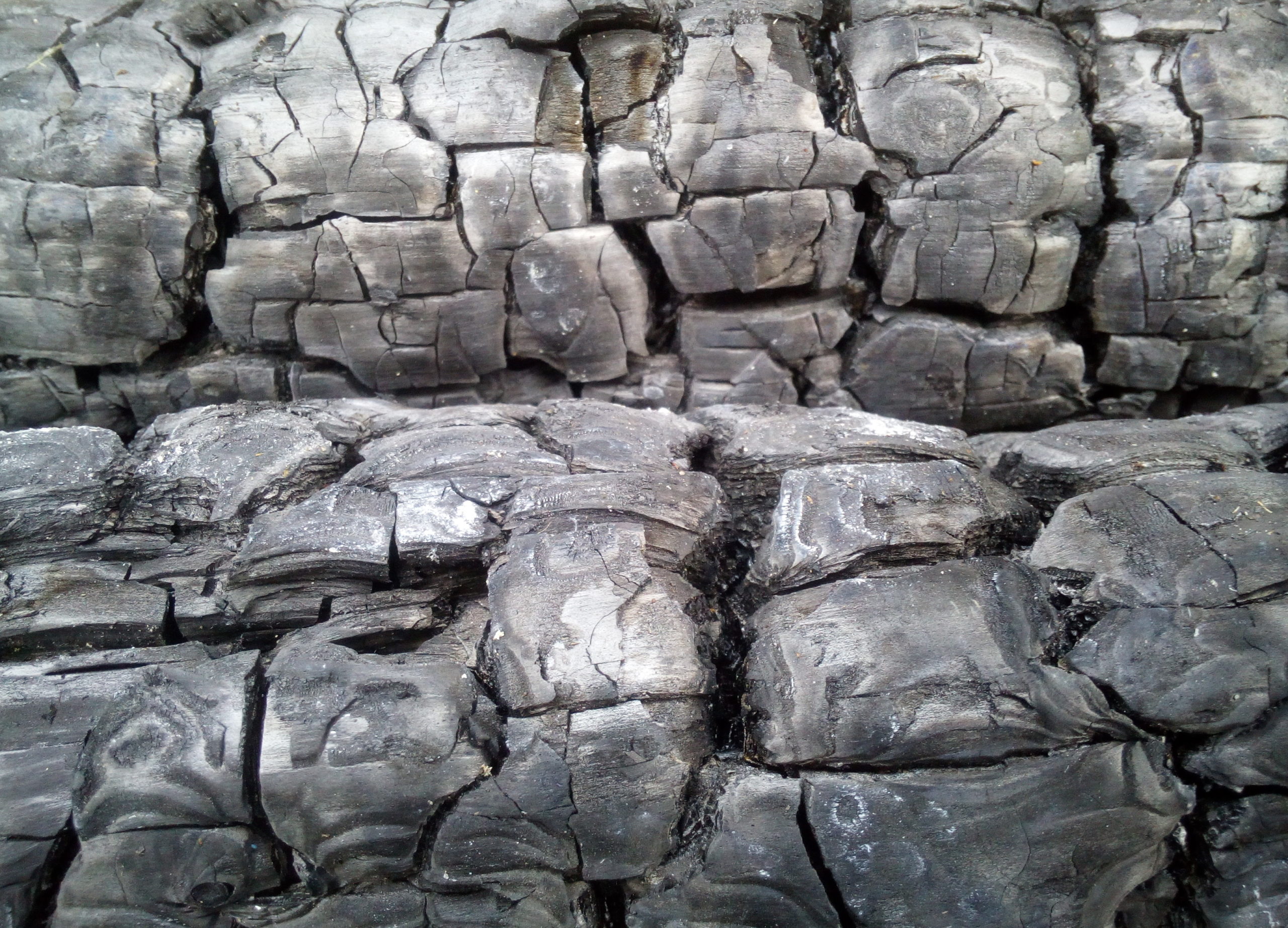 CarboNatura® Standard carbonatura.de